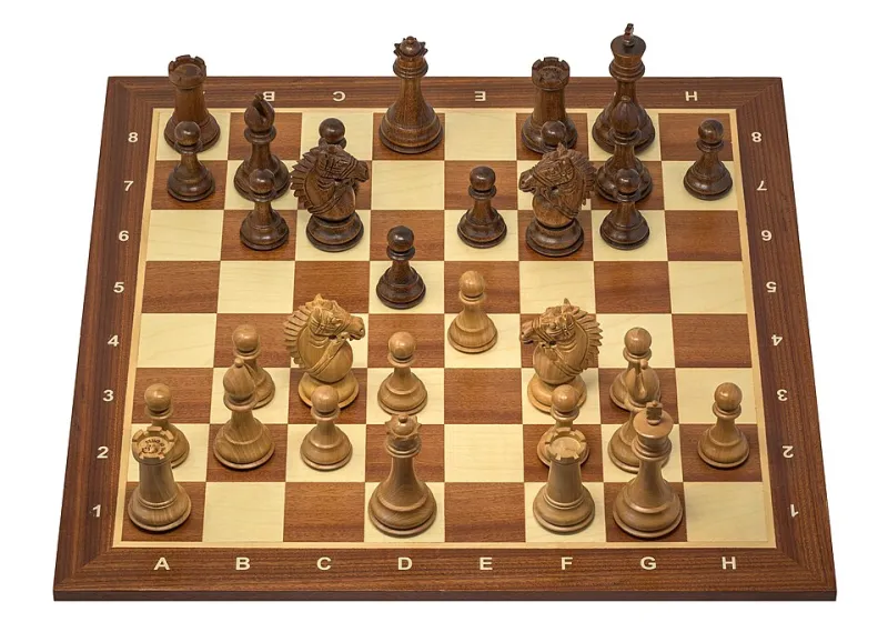 The Power of Specialization: How Selective Game Choice Defines Elite Bettors